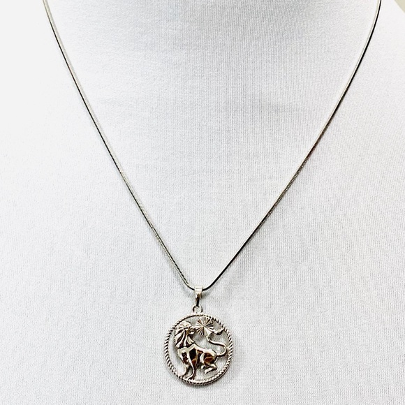 LoveStonedGypsy Jewelry - 🔶 3 for $15 Silver Leo Pendant